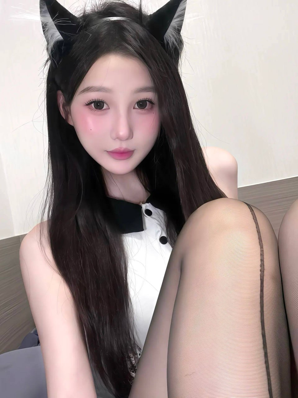 燕子图片 3 - 69dp春风阁
