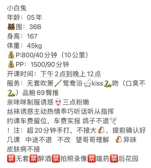 小白兔图片 2 - 69dp春风阁