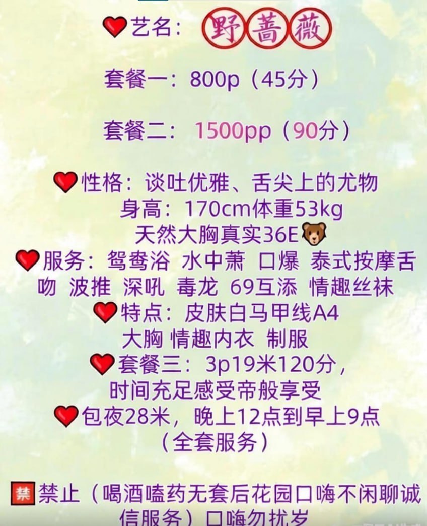 蔷薇图片 4 - 69dp春风阁