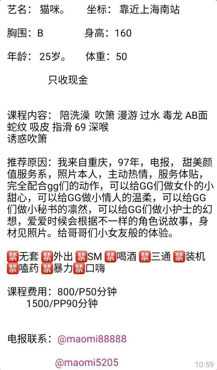 猫咪图片 8 - 69dp春风阁