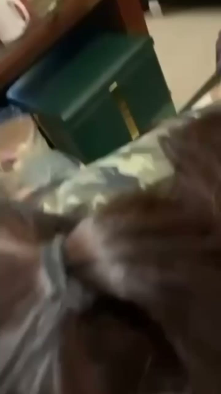 台大法律系清纯学姐 小璇 被前男友捂嘴狠操内射 强忍呻吟的羞涩媚态超诱人！