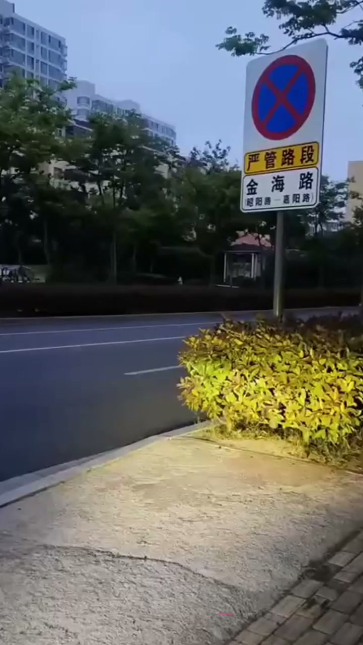 山东日照金海路大瓜 外卖小哥公园奇遇 饥渴母狗公园自慰 难道又是主人的任务？