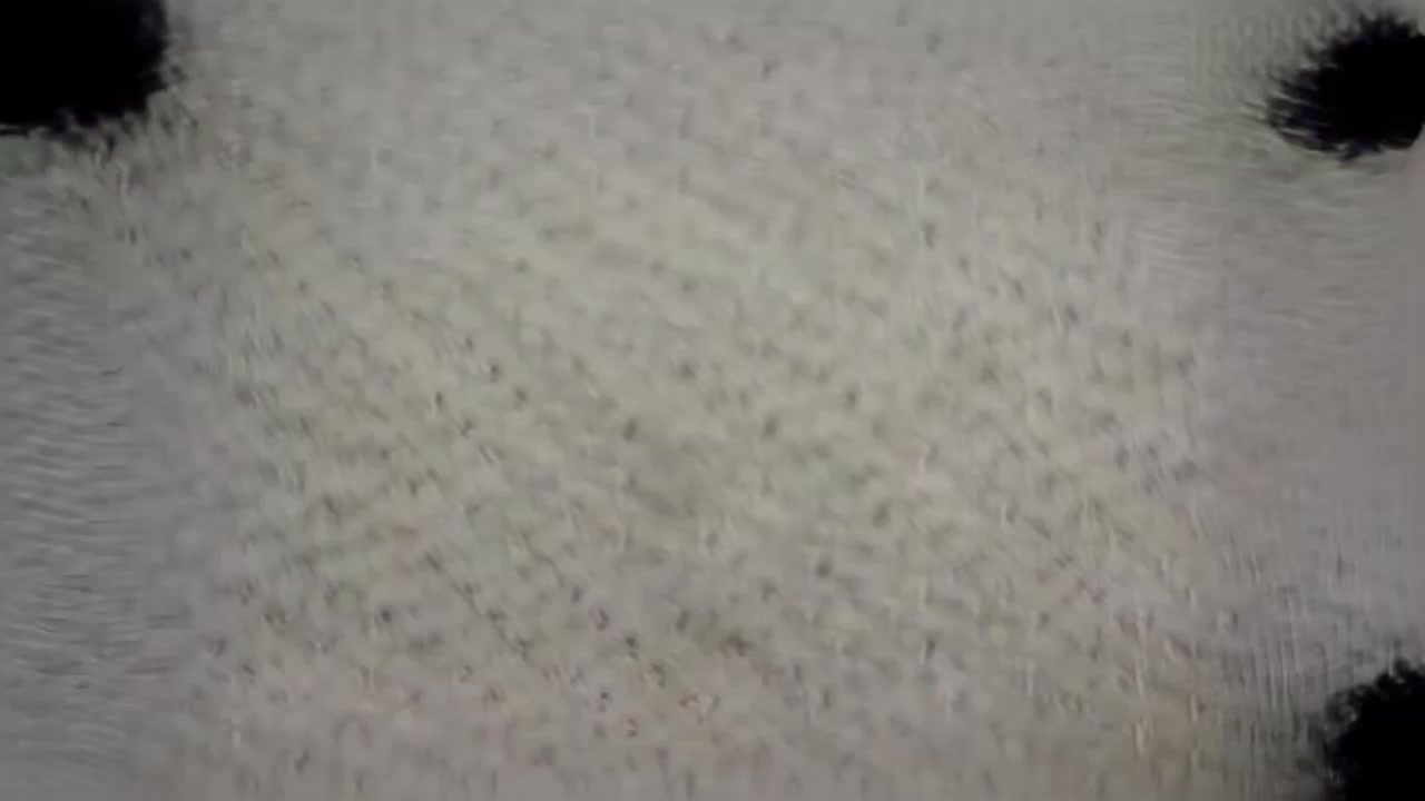 洗浴会所独家偷拍 各种御姐白皙身材一览无余 婀娜多姿的湿身画面尽显诱惑！