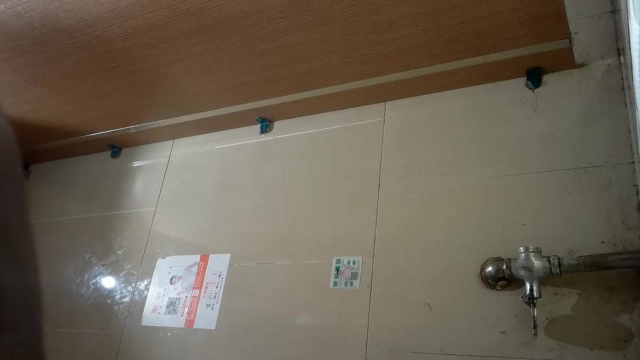 全景偷拍厕所粉嫩骚逼 肥臀骚穴诱人犯罪 刺激画面让人欲罢不能！