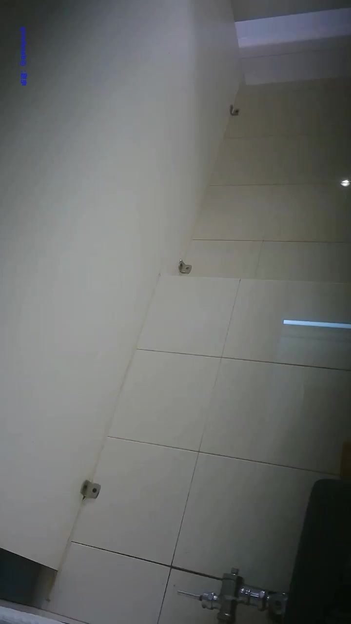 夜总会女厕逼脸同框偷拍 豹纹吊带靓妹白带挂逼 黑丝御姐抖逼不擦尿 甜妹卫生纸当护垫 淫靡不堪！1