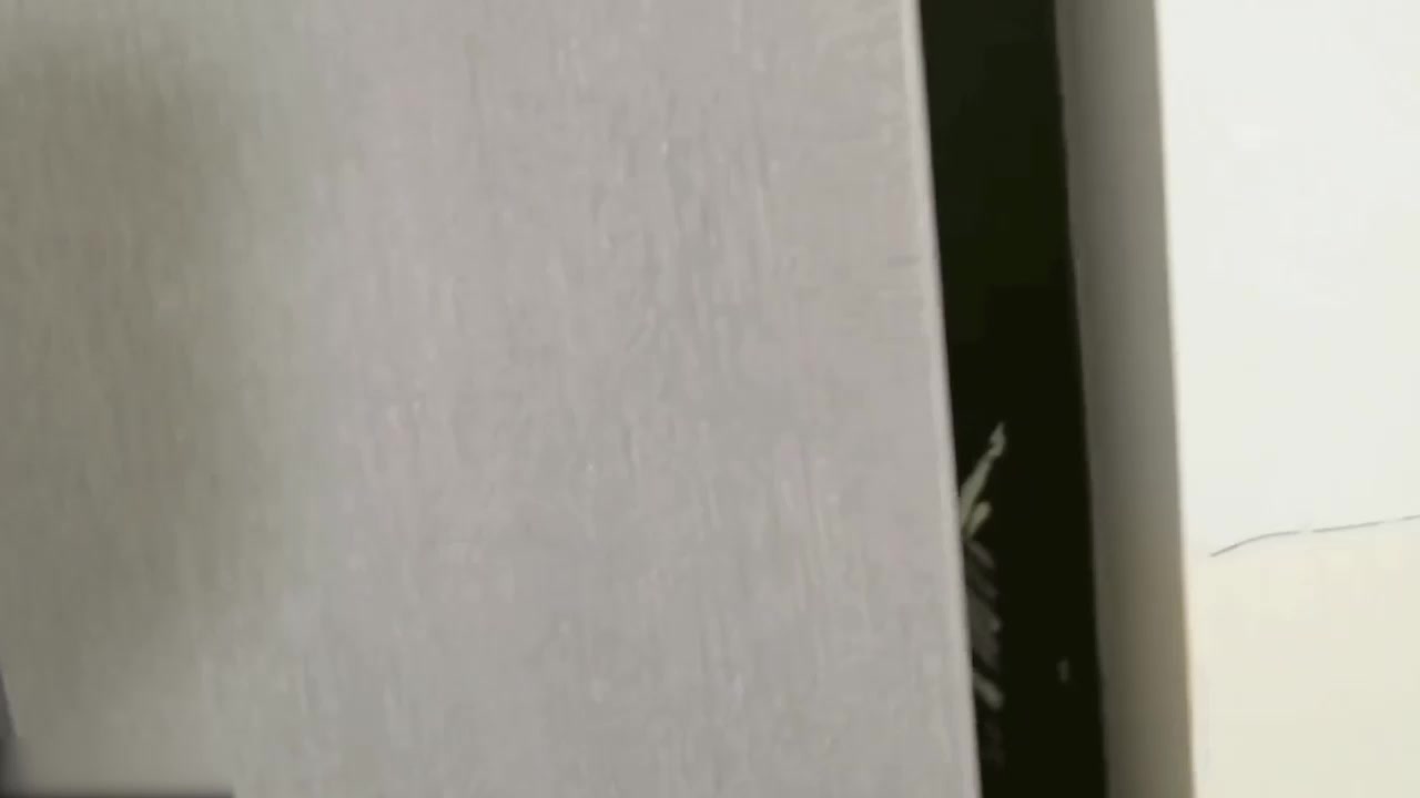 极品嫩妹网黄 懒懒猪 为泄欲偷闺蜜男友 白皙酮体惨遭狂操 蜜桃臀被撞得通红 嫩穴被干到外翻流精！