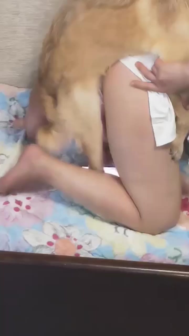 独居小仙女自曝 发情没人操拿3岁金毛开荤 第一次犬交就高潮到腿软 彻底上瘾爱上狗屌！