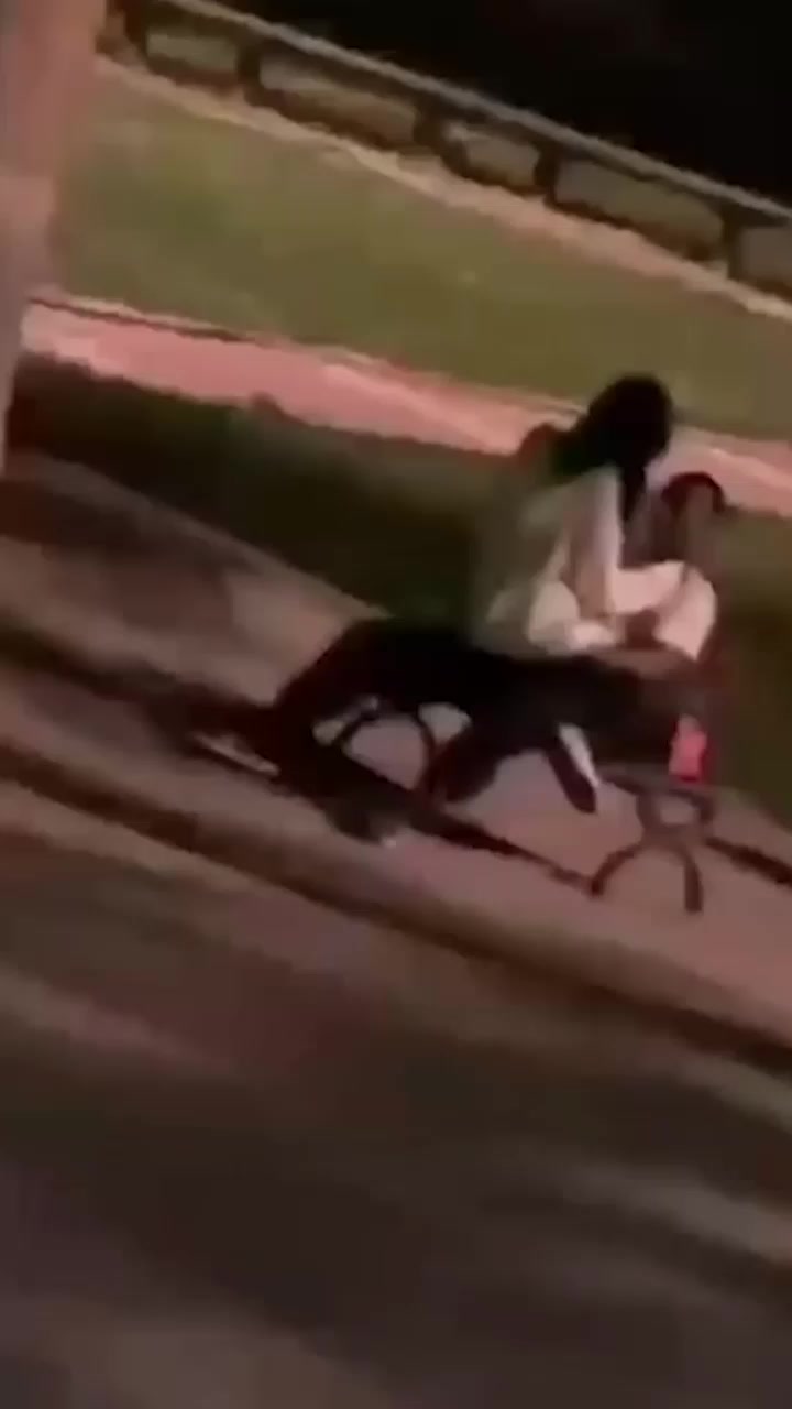 华北电力大学长椅野战偷拍！学霸女学生骑乘黑人猛男 啪啪声夜色中回荡 长椅秒变打卡圣地！