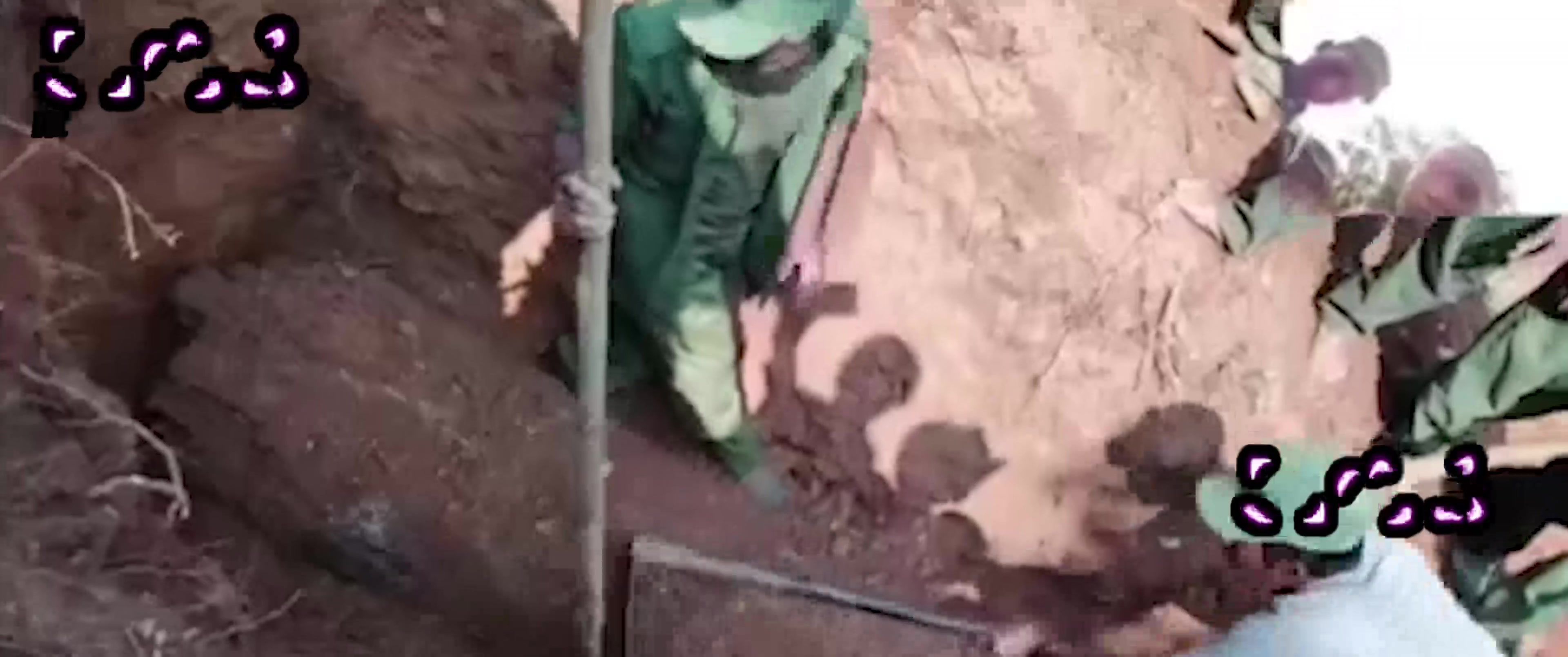 缅甸僵尸六年不腐肉身深夜害人？三起离奇死亡人心惶惶 开棺见尸视频疯传