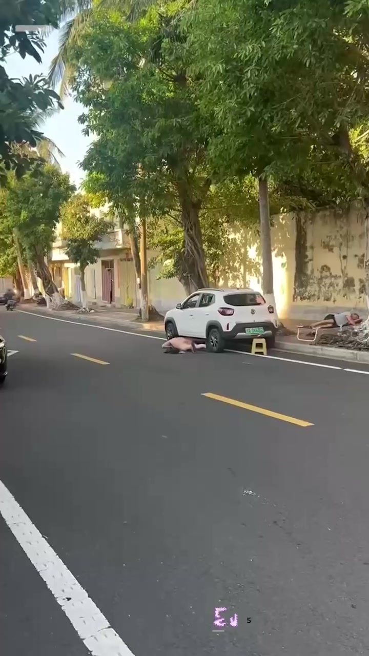 这年头啥都见过 操地还是第一次见 男子马路边旁若无人全裸操地 人还能这么玩？
