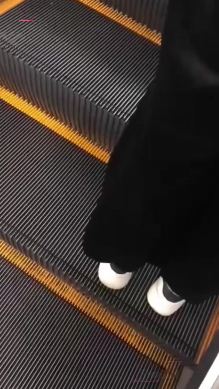 每日大赛之【街射大赛】6