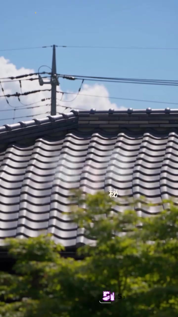 51原创短剧 秘密教学 第3集 阿姨的第二次教学 口交舔胸隔内裤抽插 界限一步步放宽