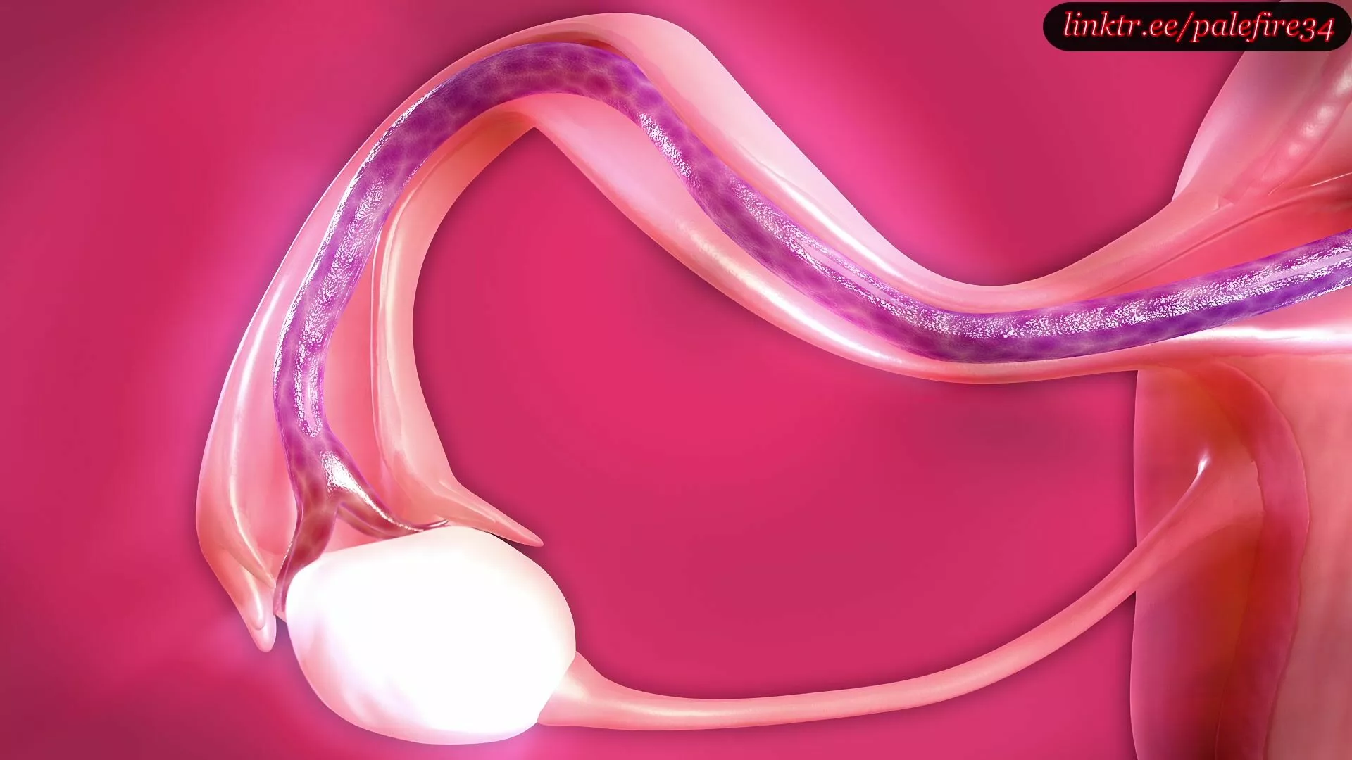 (X-ray) Tentacles conquer Tifa's womb