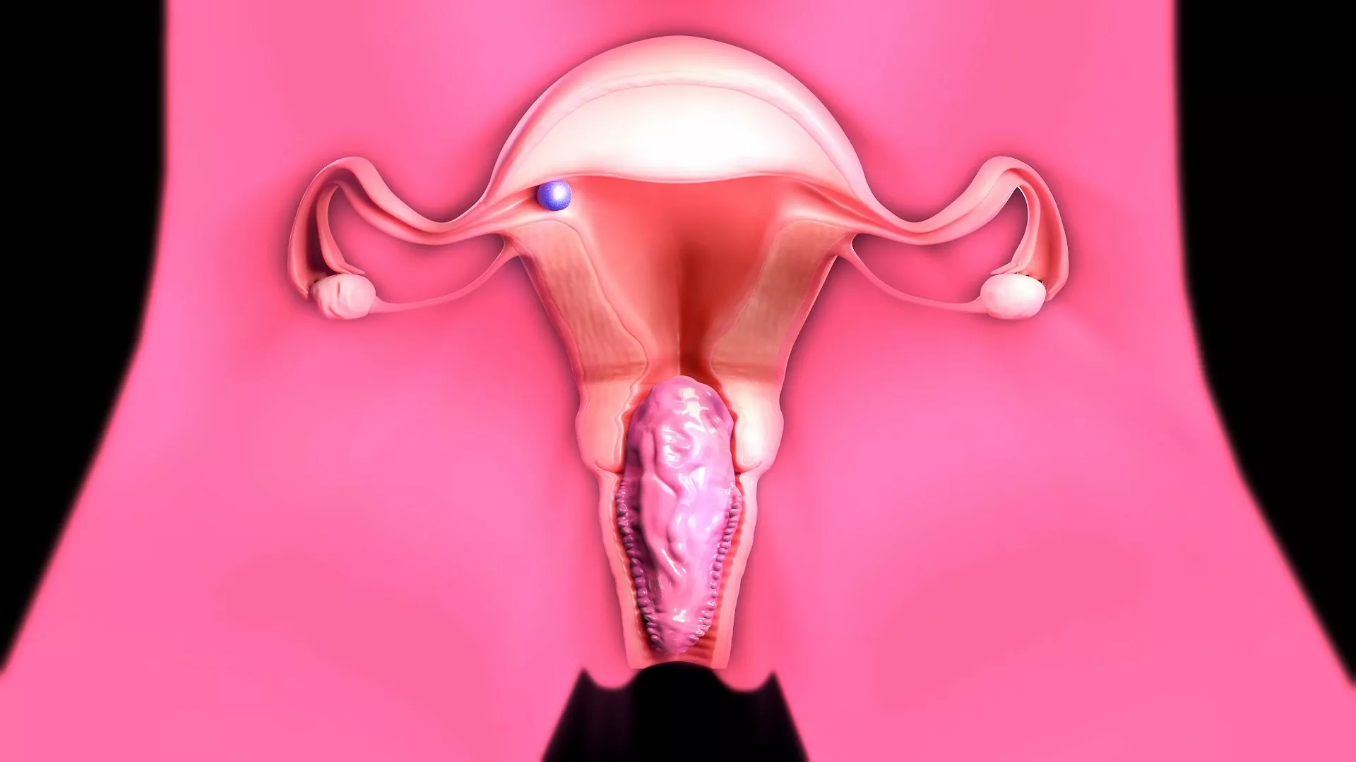 2B can't hold it in - breeding and birthing (Xray ver)