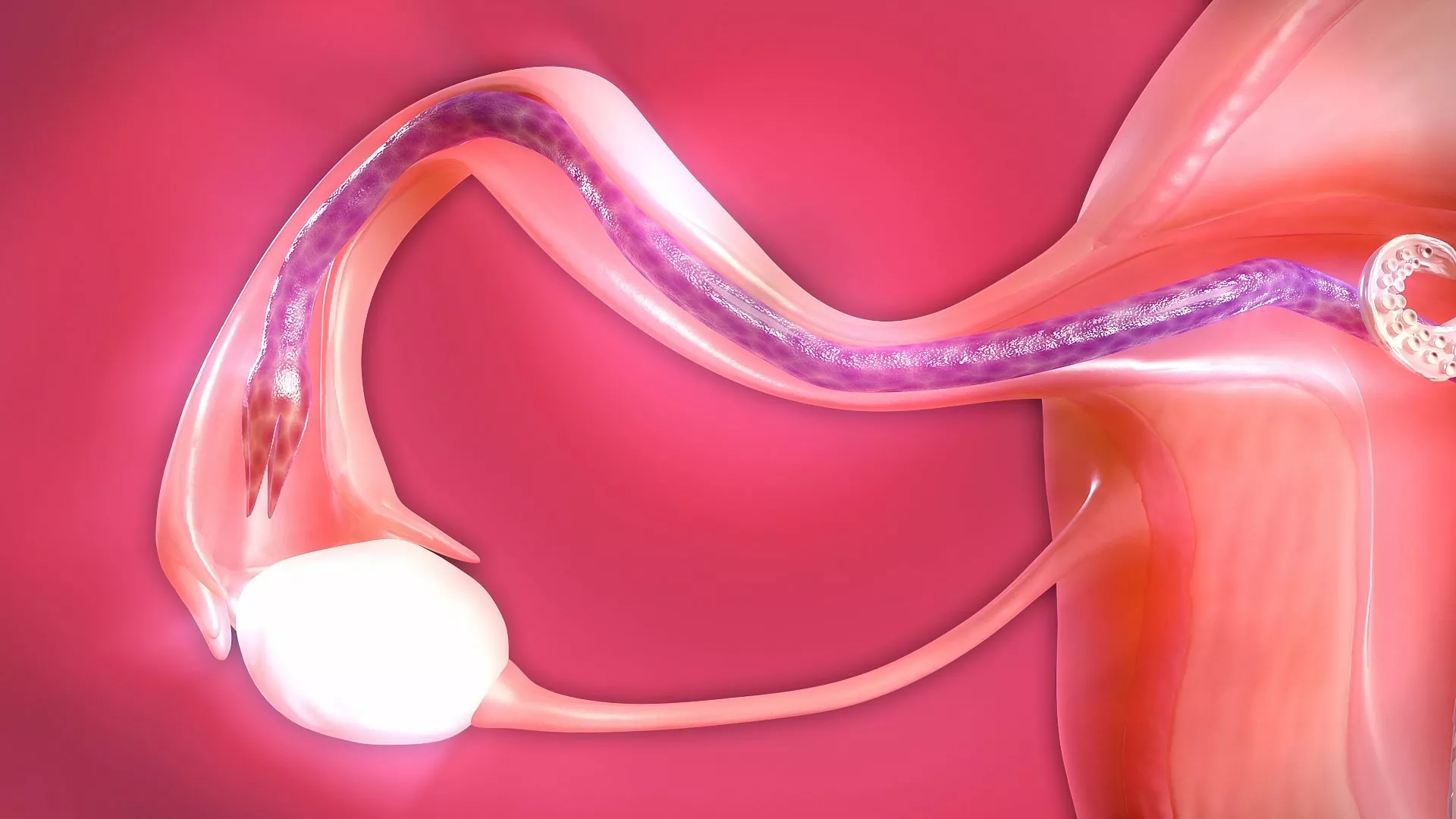 Filling Tifa's Womb (X-ray Tentacles version)
