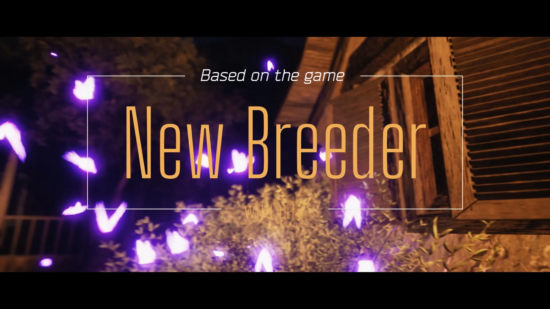New Breeder