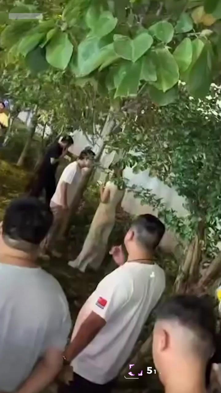 柯桥万客隆抓奸事件 三婚女子偷情成瘾 原配怒砸20w为其开店 确被戴稳绿帽！